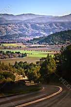 Back Road into Napa Valley, California