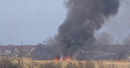 Wildfire in reed fields in rural area