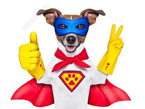 Super hero dog