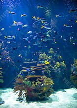Aquarium
