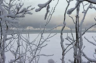 Water and islands behind the snow-covered branches