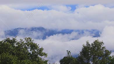 Mist is flowing through the mountain valley at Chiang Kam Mountain, Chiangmai, Thailand