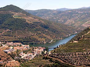 Douro valley and vineyards