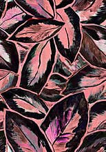 Paint drawn ficus leaves seamless pattern with brush strokes.