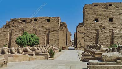 Ram-headed sphinx statues near the entrance to the Temple of Karnak, Luxor, Egypt