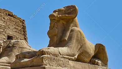 Alley of sphinx in Luxor - landmark of Ancient