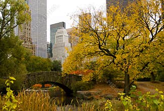 New York City skyline and Central Park in Autumn