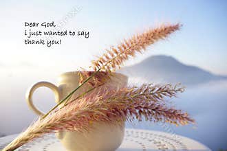 Thankfulness prayer quote - Dear God, i just wanted to say thank you. With still life cup and grass flowers on blue mountain
