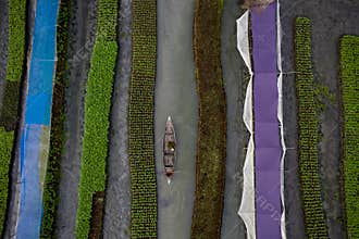 Floating vegetable farming
