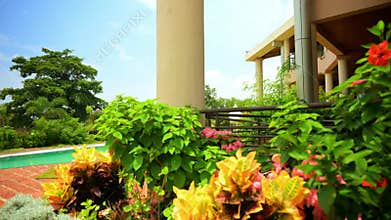 Bungalow Sidewalk and Poolside Area