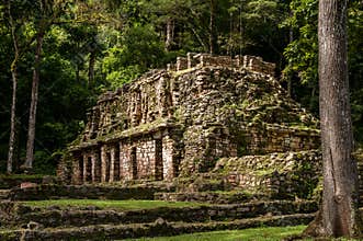 The Ancient Mayan Building in Yaxchilan