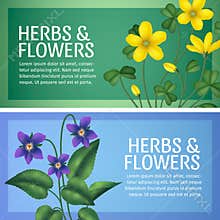 Realistic herbs horizontal banner template collection