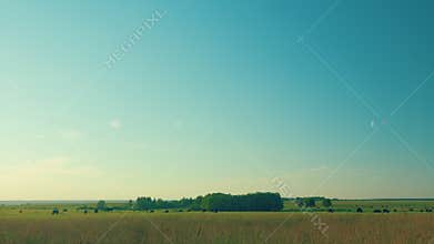 Cows Grazing In Pasture Under Big Blue Sky. Group Of Cows Grazing In Pasture.
