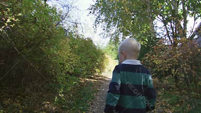 Curious little boy having walk in the park