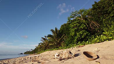Philippine Paradise: Aerial Drone Views of Stunning Sunsets, Sunrises, and Tropical Beaches with Palm Trees