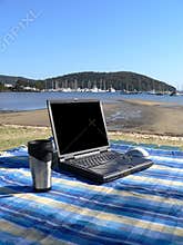 Laptop Picnic