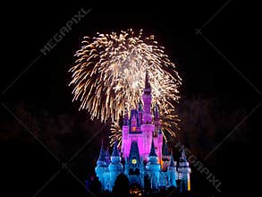 Wishes Nighttime Spectacular