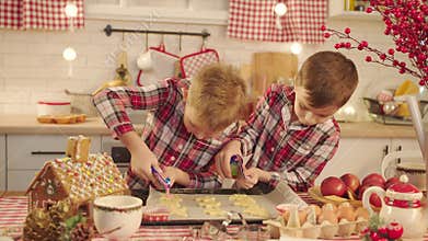Cute boys making gingerbread icing cookies on Christmas Eve