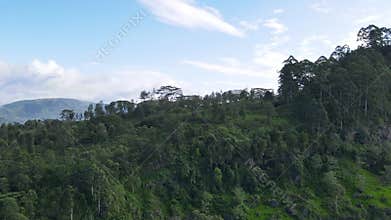 Beautiful scenery with small village amidst the beautiful tea hills
