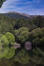 landscape, view, mountains, spring, nature, plants, spain, green