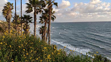 Sunsets at Swamis Reef Surf Park, Moonlight, Cardiff and Del Mar beaches.