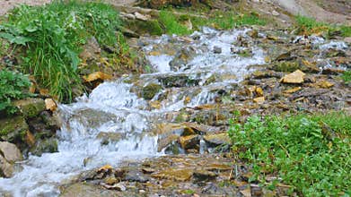 Slavonic spring flowing down slope, near Izborsk.