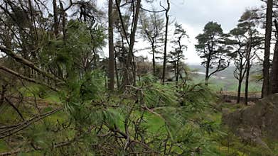 Destination scenics at The Roaches in the Peak District National Park