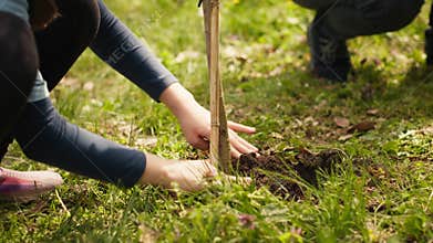 Mother and child collaborate on planting trees in the forest.