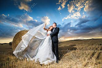 Bride and groom in the field
