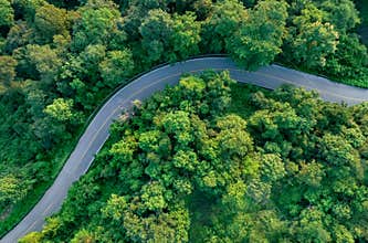 Aerial view of dense green trees in forest capture CO2 and curve highway road. Green trees background for carbon neutrality and