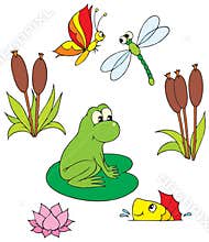 Pond (vector clip-art)