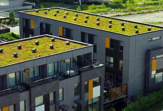 Green roof