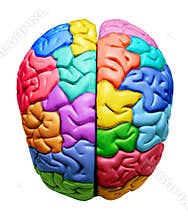 Rainbow Brain Creative Ideas