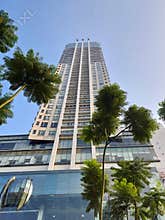 Modern Skyscraper with Blue Sky and Palm Trees in Background