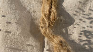 Fibers of natural uncolored flax. Swaying flax seeds pods.