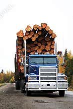 Logging truck