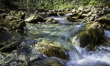 Stream in the mountains