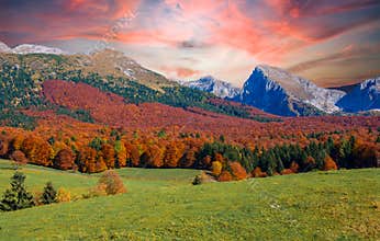 the beautiful colors of a beautiful autumn day in the mountains