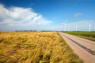 The field of wheat with wind engine