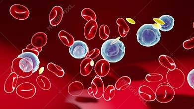 3d animation of the lateral movement of blood components.