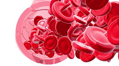 3D animation of artery or vein with the movement of red blood cells.