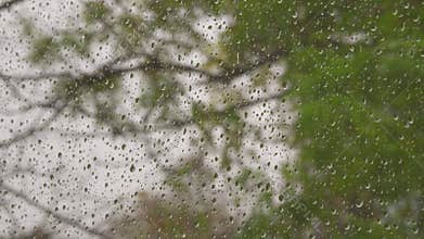 Raindrops on window glass, windy cloudy weather outside.