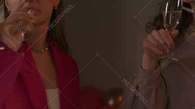 Group of young women friends and bride celebrating bachelorette party at home, bridesmaids and bride cheers drinking