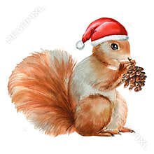 Adorable Squirrel with cone in holiday hat. Christmas clipart for design. festive watercolor Christmas illustrations