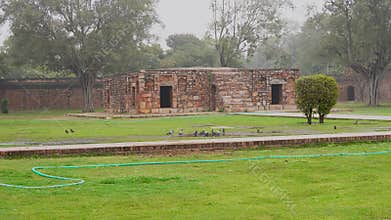 8 January 2024-Pigeons Sitting in the Garden of Bu Halima Tomb in Delhi, India