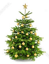 Lush christmas tree with gold ornaments