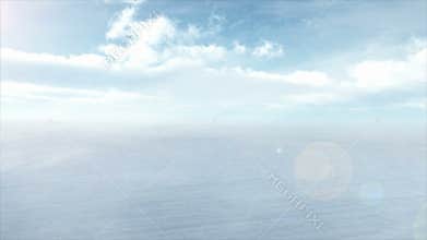 Eagle fly on aerial background