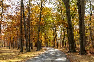 Saddle River Park, Katelyn Park, and Saddle River Park in New Jersey