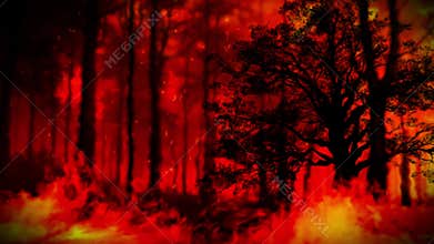 Trees Consumed by Flames and Shrouded in Thick, Rolling Smoket