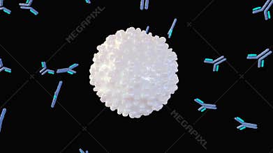 3d animation of antigens and antibodies